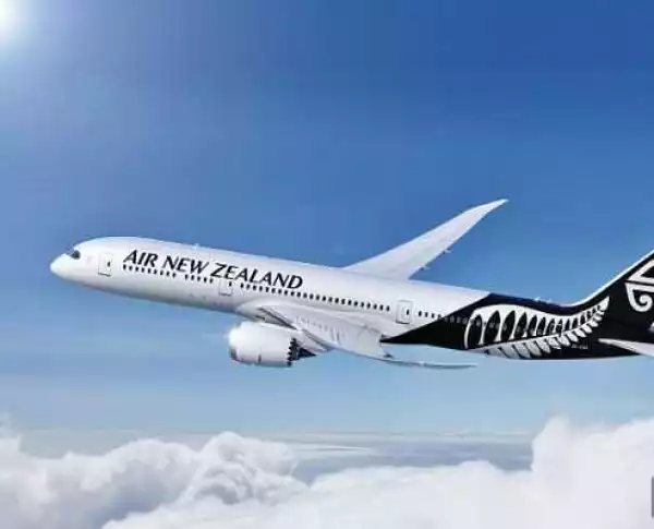 Massive Recruitment: Free Flights to New Zealand Offered to Job Seekers